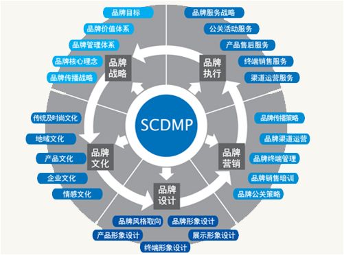 全盛期品牌推广策略 以技术推广服务为核心驱动增长