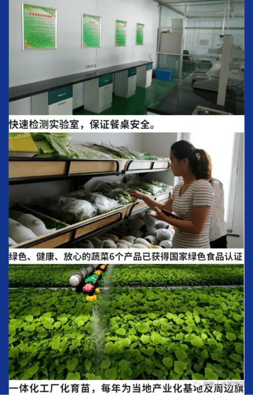 新品种推广,新技术应用,工厂化本土育苗,农业生产资料供应,农副产品
